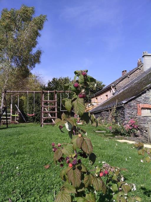 Gite Les 7 Frenes Vaux-sur-Sure Dış mekan fotoğraf
