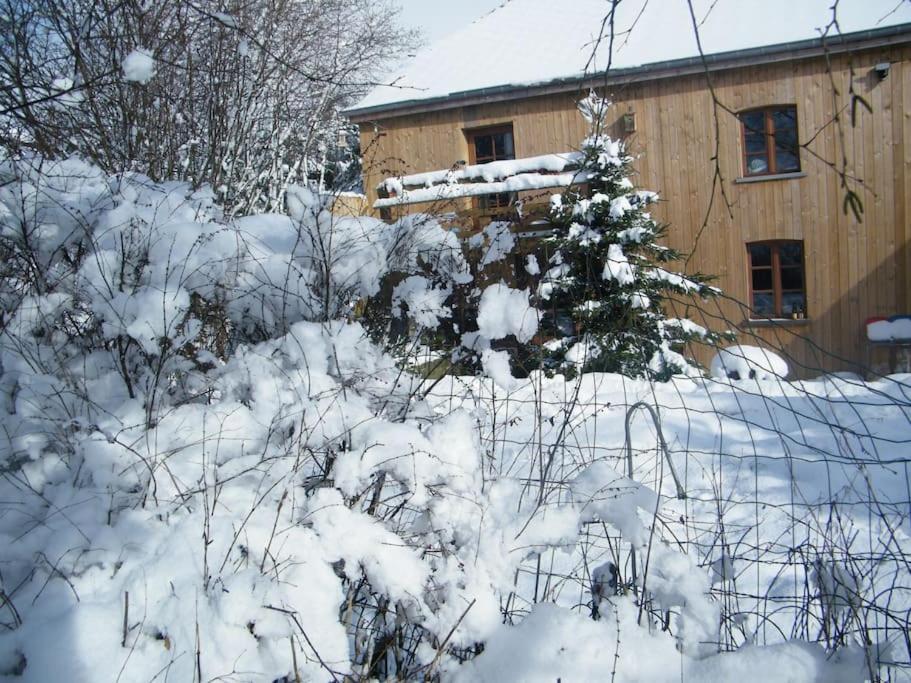 Gite Les 7 Frenes Vaux-sur-Sure Dış mekan fotoğraf