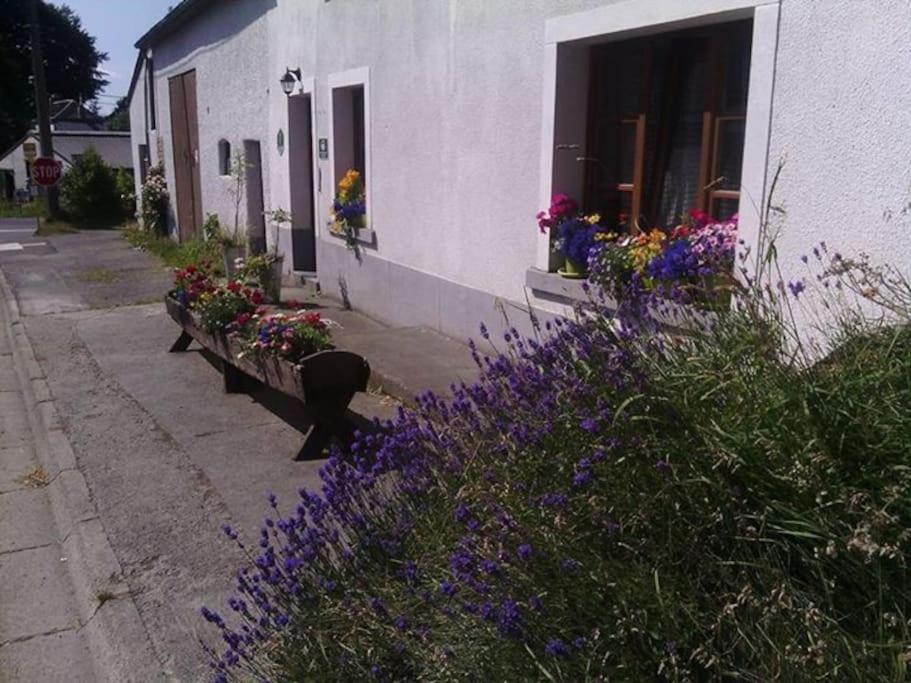 Gite Les 7 Frenes Vaux-sur-Sure Dış mekan fotoğraf