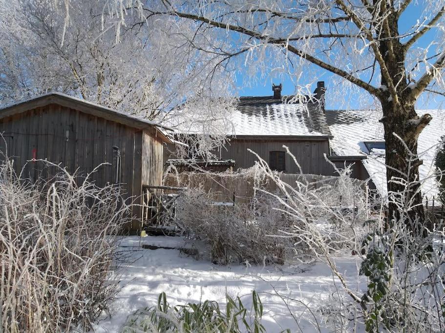 Gite Les 7 Frenes Vaux-sur-Sure Dış mekan fotoğraf